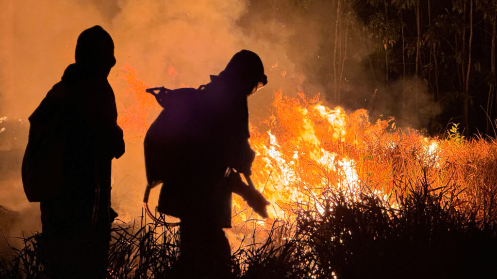 Τέξας: Δύο νεκροί στη μεγαλύτερη πυρκαγιά στην ιστορία της περιοχής – Θερμοκρασίες ρεκόρ στις ΗΠΑ